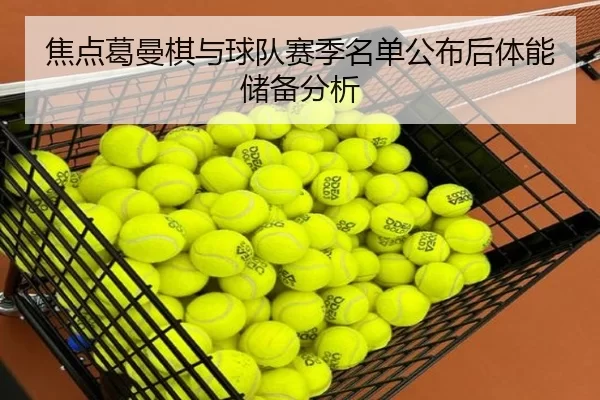 焦点葛曼棋与球队赛季名单公布后体能储备分析